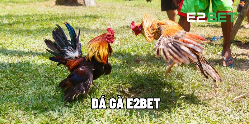 da ga e2bet 1